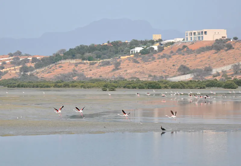 Discover Ras Al Khaimah