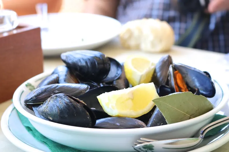 mussels