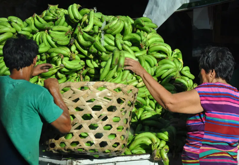 The city of Cebu in the Philippines is so much more than a stopover - it's full of history, culture, amazing people, and it's the gateway to some of the most beautiful islands ever