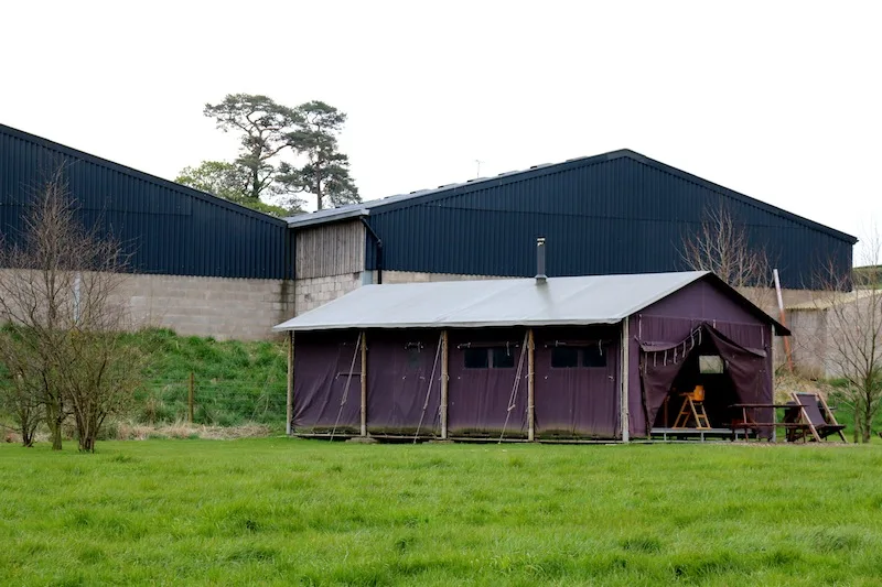 Featherdown Glamping in Lancaster tent