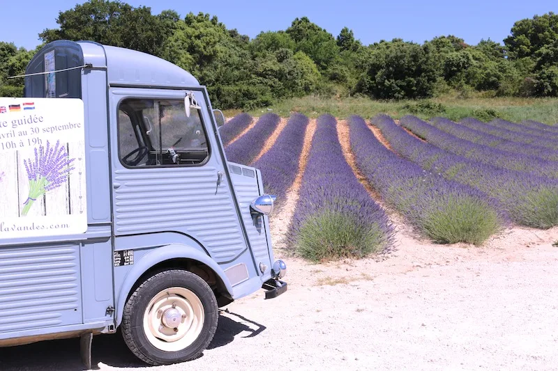 Lavender Museum and Distillery in St-Remeze Ardeche