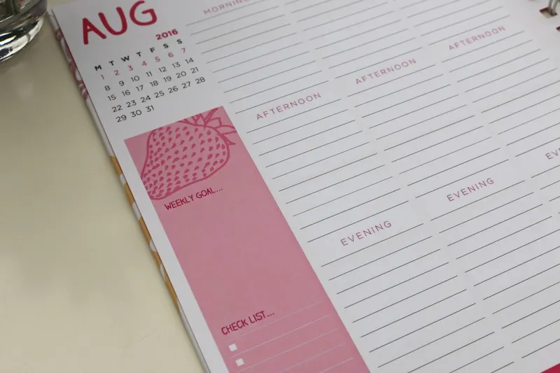 Unique Planners by Pirongs blog review