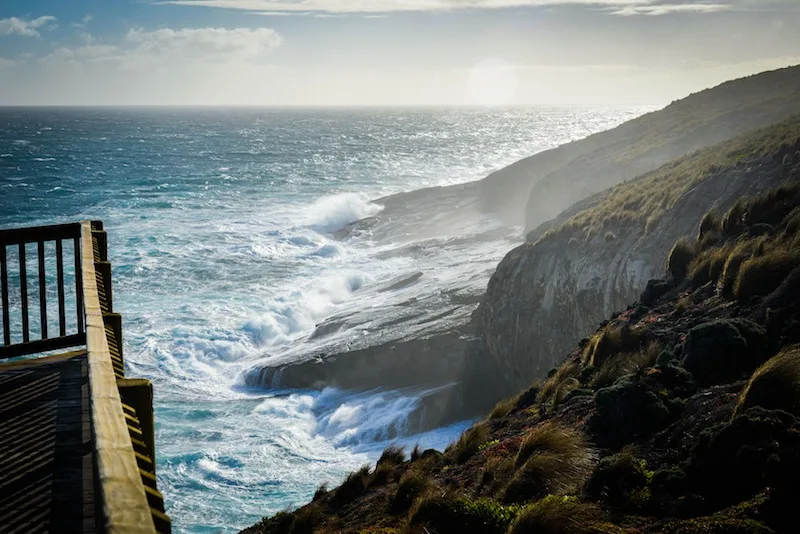 Welcome to Kangaroo Island, Australia