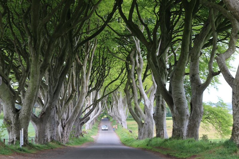 Game of Thrones Film Locations in Northern Ireland