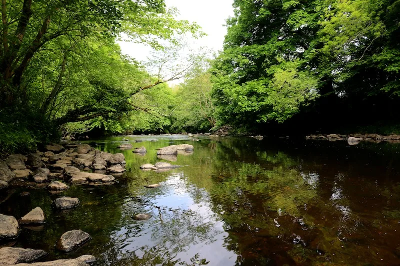 Roe Valley Country Park - The perfect weekend in Northern Ireland