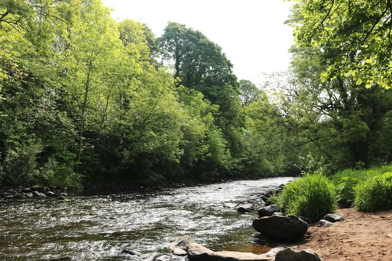 Roe Valley Country Park