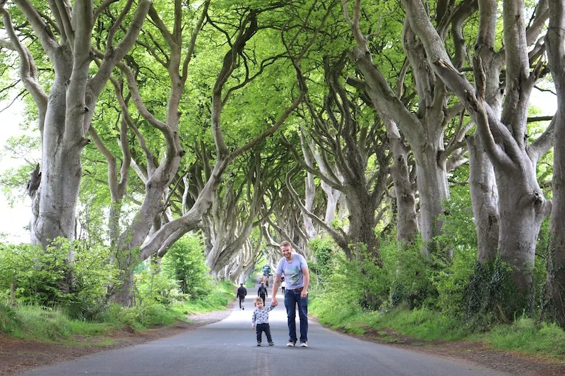 The Dark Hedges, Northern Ireland. Game of Thrones film location