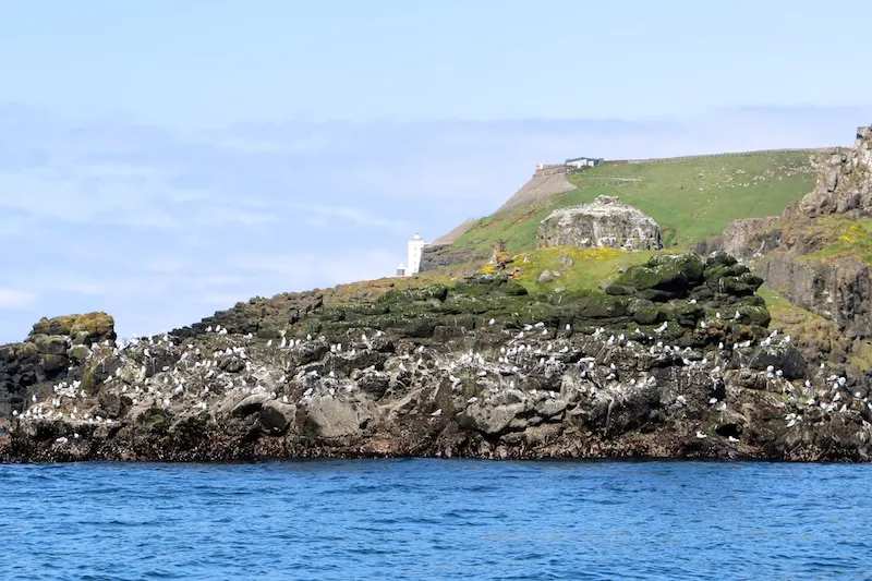 The perfect itinerary for a weekend in Northern Ireland - Bird sanctuary