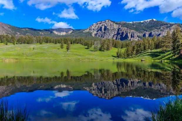 Yellowstone National Park