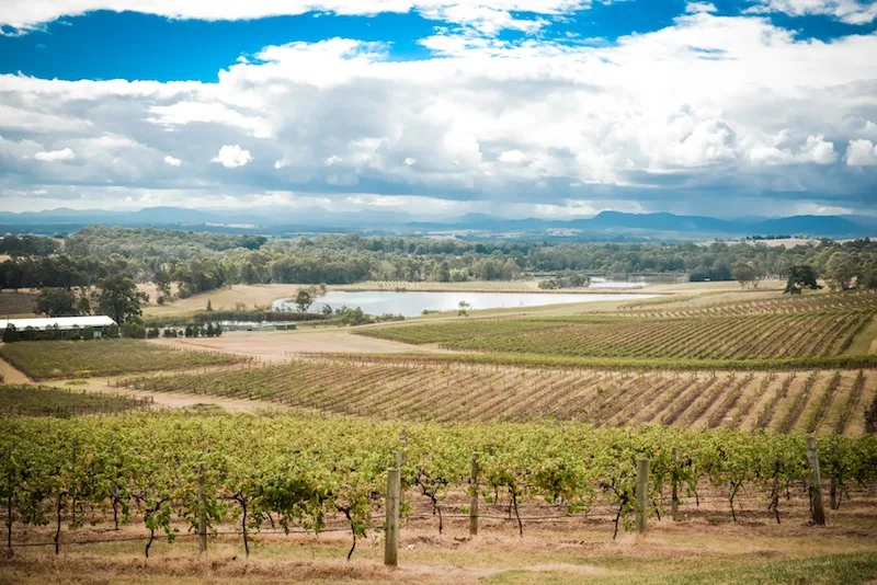 Wine tasting in Australia