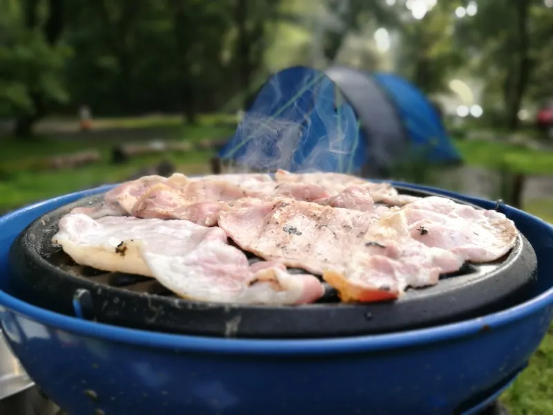 Camping in the Forest, Beddgelert