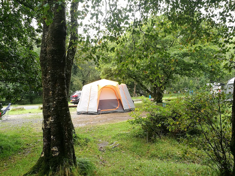 Camping in the Forest, Beddgelert