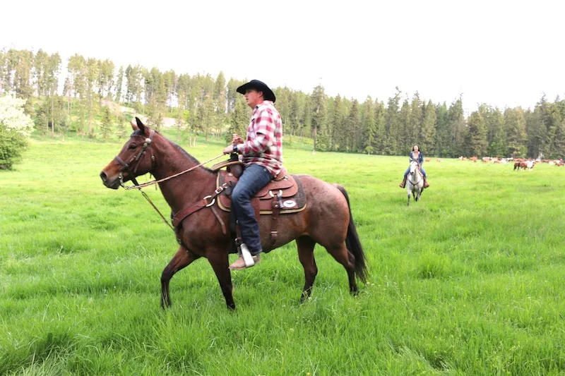 cowboy-at-flathead-lake-lodge