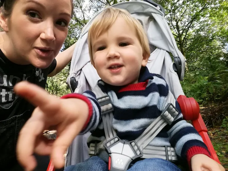 Camping in the Forest, Beddgelert