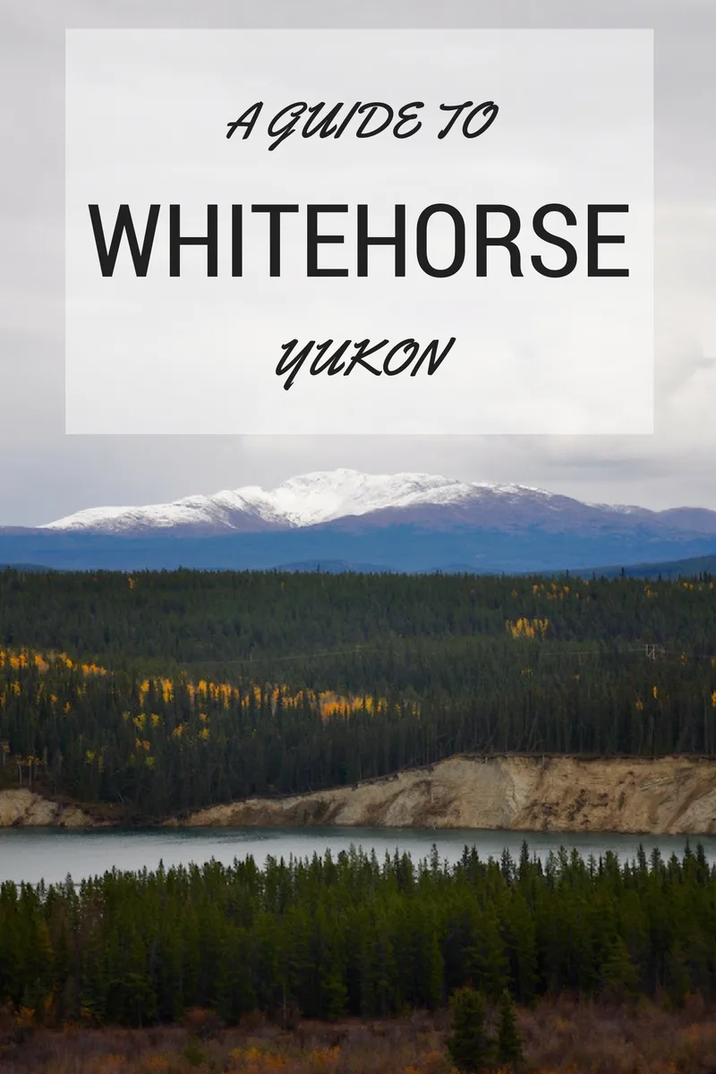 A Travel Guide to Whitehorse, Yukon