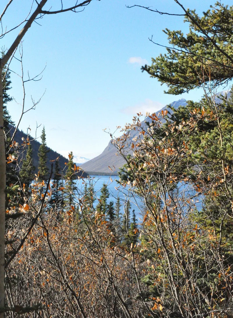 Finding Wilderness in Kluane National Park