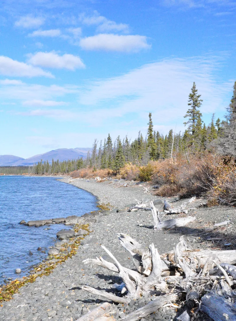 Finding Wilderness in Kluane National Park