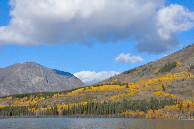 Yukon's Southern Lakes Region