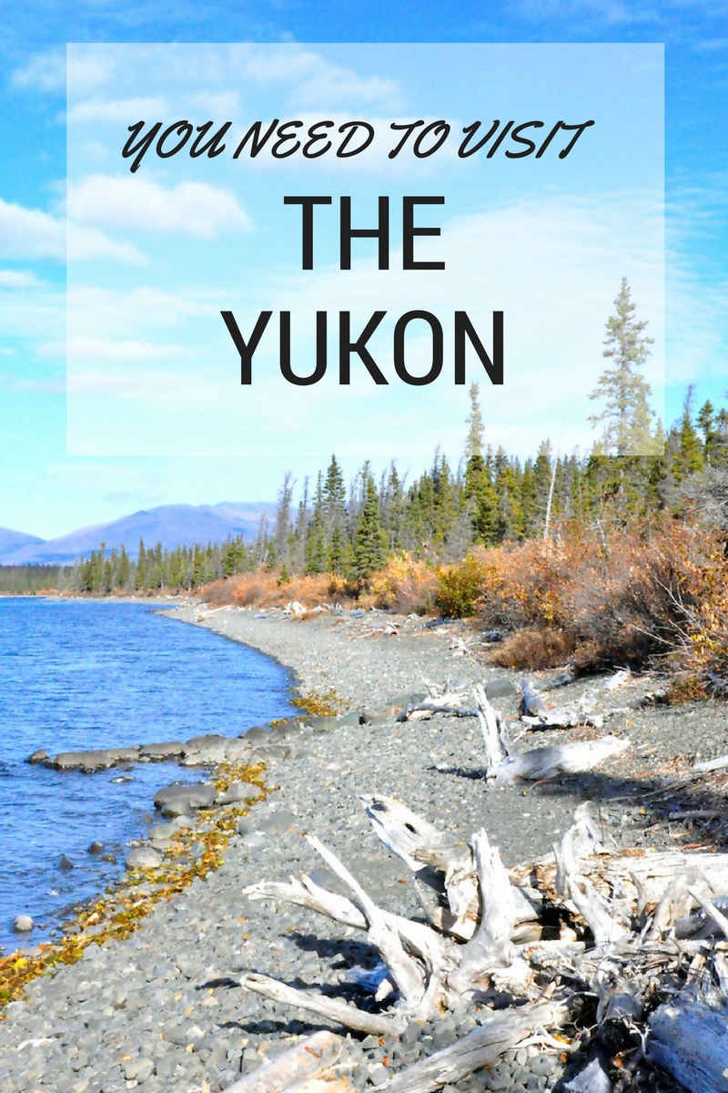 10 reasons you need to visit the Yukon right now
