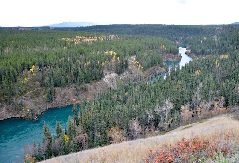 A Travel Guide to Whitehorse, Yukon