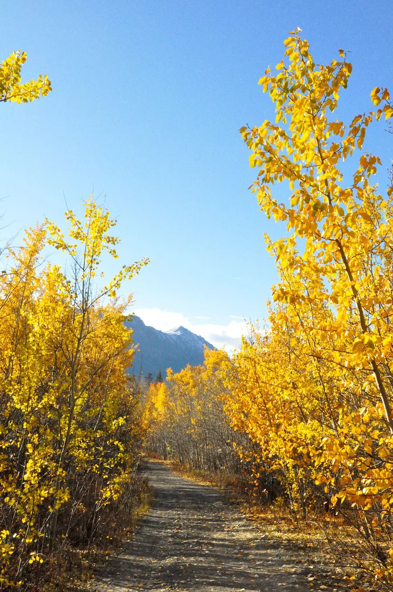 Year-Round Adventure in the Yukon