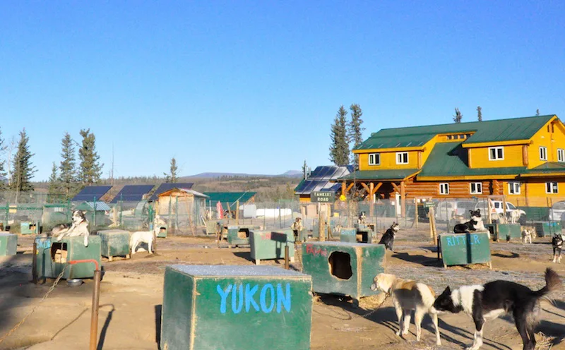 Year-Round Adventure in the Yukon