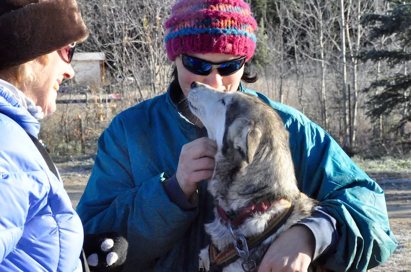 Year-Round Adventure in the Yukon