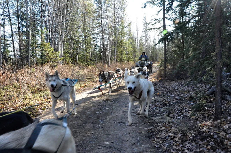 Year-Round Adventure in the Yukon