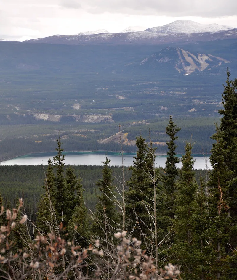 Year-Round Adventure in the Yukon