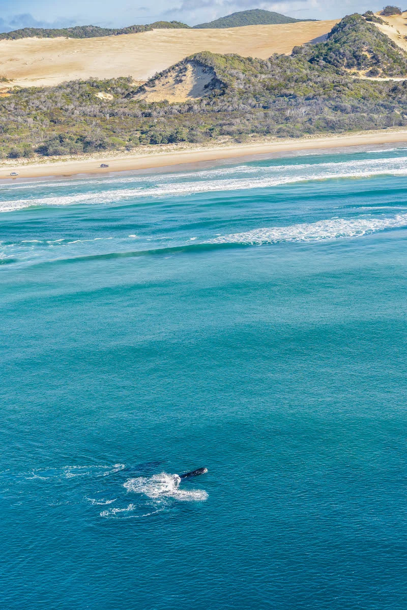 10 reasons you should visit the East Coast of Australia