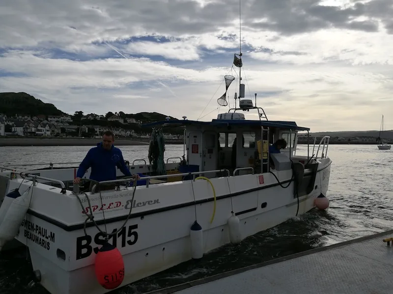 A sustainable lobster sea safari in North Wales