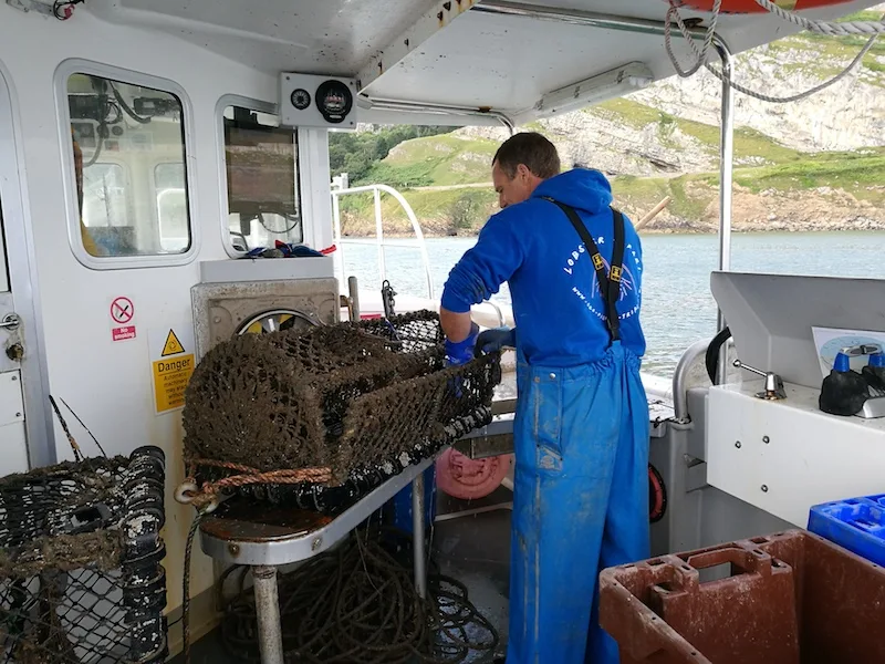 A sustainable lobster sea safari in North Wales