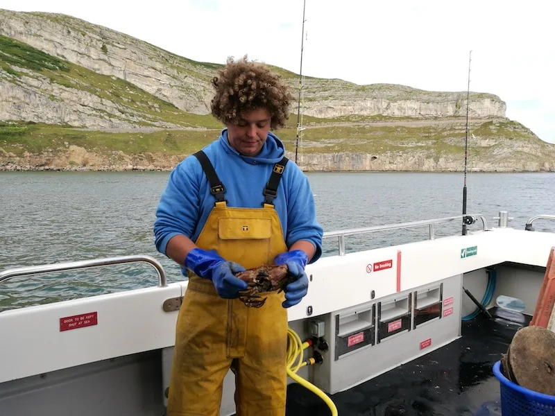 A sustainable lobster sea safari in North Wales