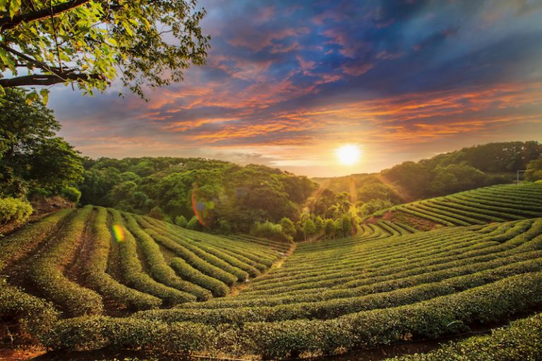 10 unmissable things to do in Kerala