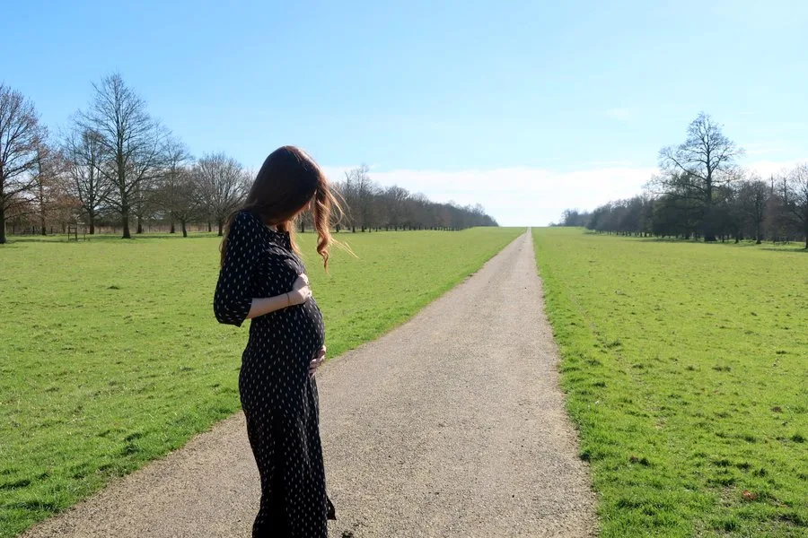 Pregnancy travel essentials - The Travel Hack