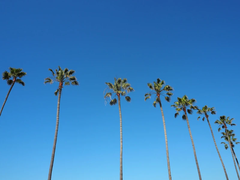 A Weekend Guide to Newport Beach — The City Sidewalks  Newport beach  california, Newport beach, Island fashion