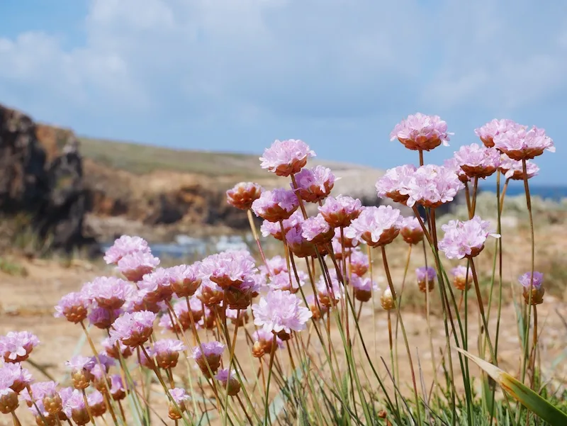 Praia da Bordeira Beach