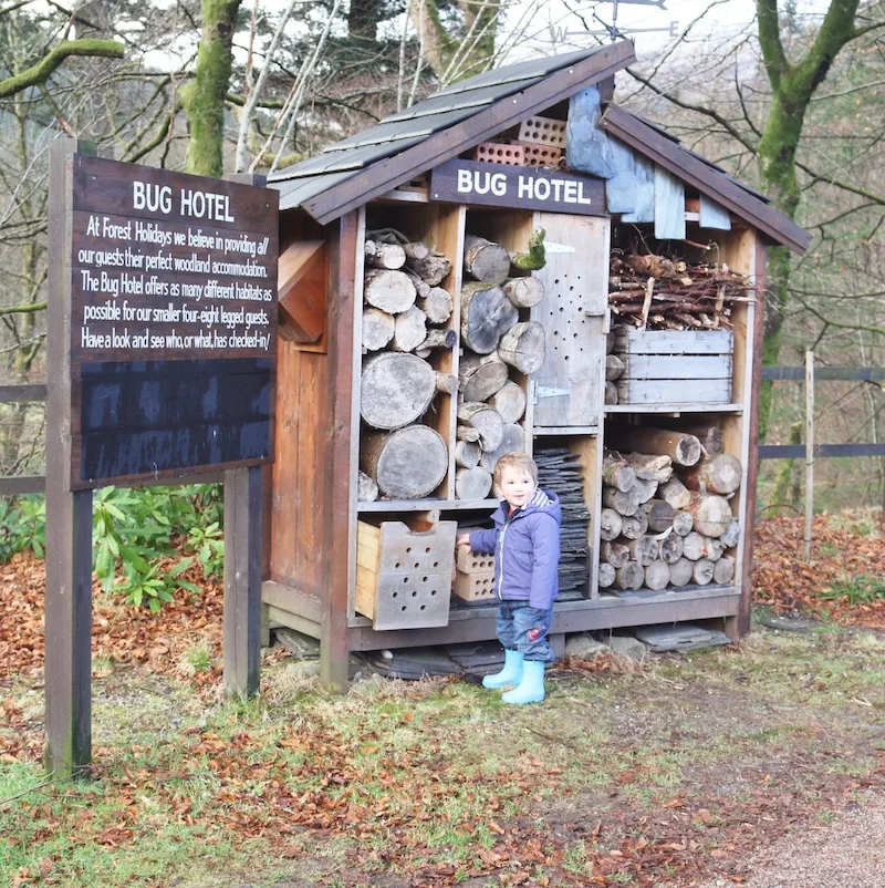 Forest Holidays Review - bug hotel in scotland