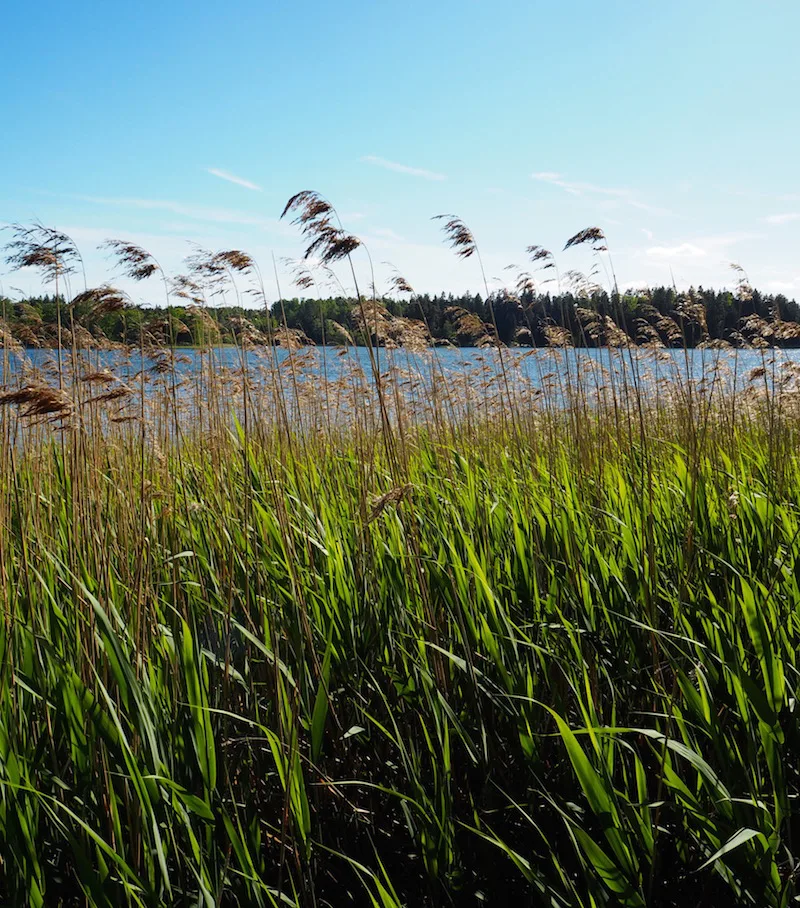 Lithuania: A Land of Surprises