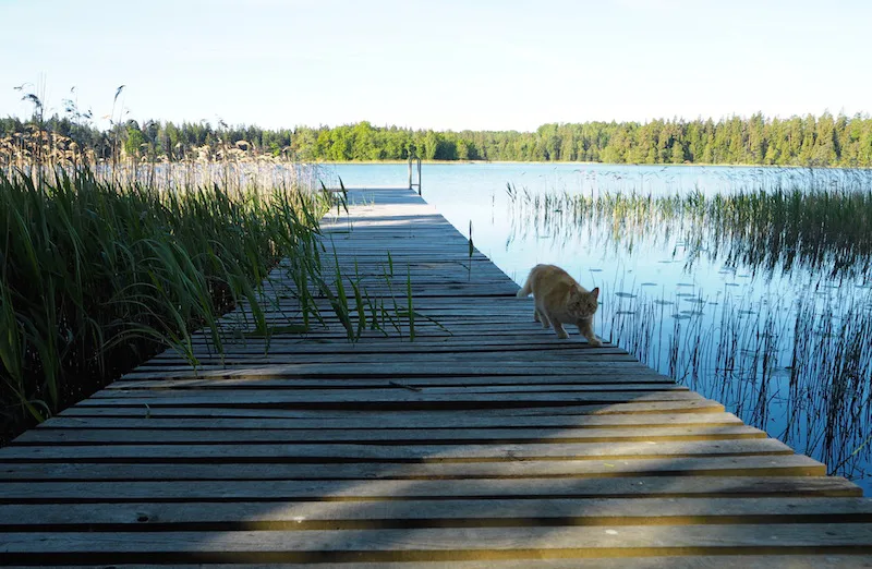 Lithuania: A Land of Surprises