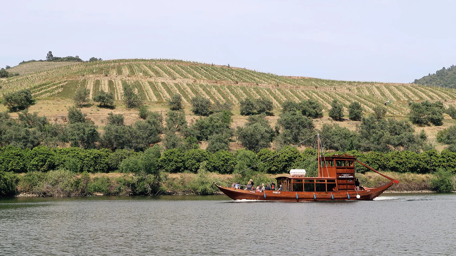 boat trip douro river