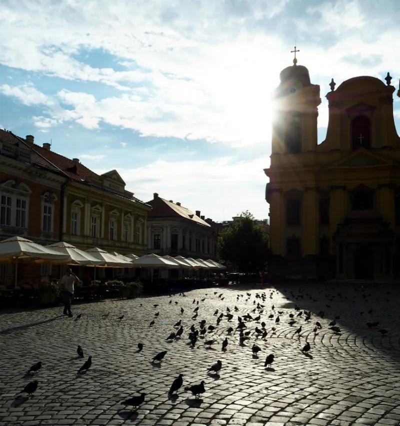 A Travel Hack's Guide to Timisoara, Romania