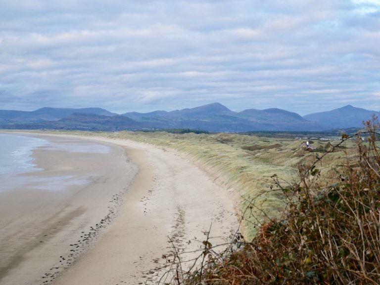 February goals and finding the thing that makes us happy?