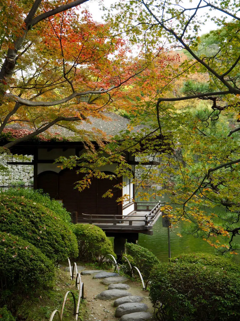 My Secret Wakayama: Japan's Hidden Gem