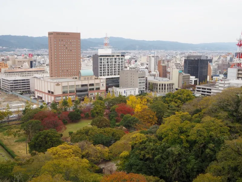 My Secret Wakayama: Japan's Hidden Gem