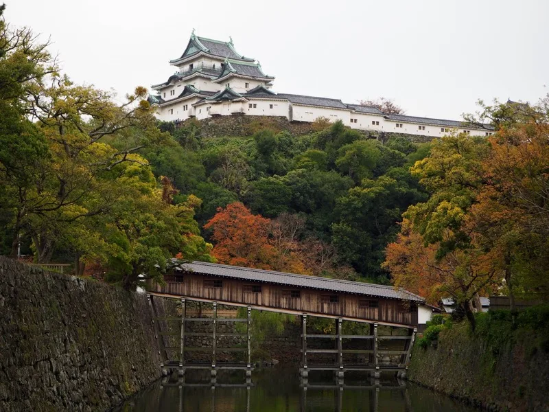 My Secret Wakayama: Japan's Hidden Gem