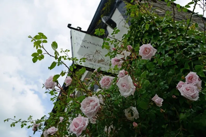 Sign for The Pheasant Bar on a wall of pink roses at The Mulberry Inn - 10 of the Best Llangollen Hotels (and Other Memorable Accommodation)