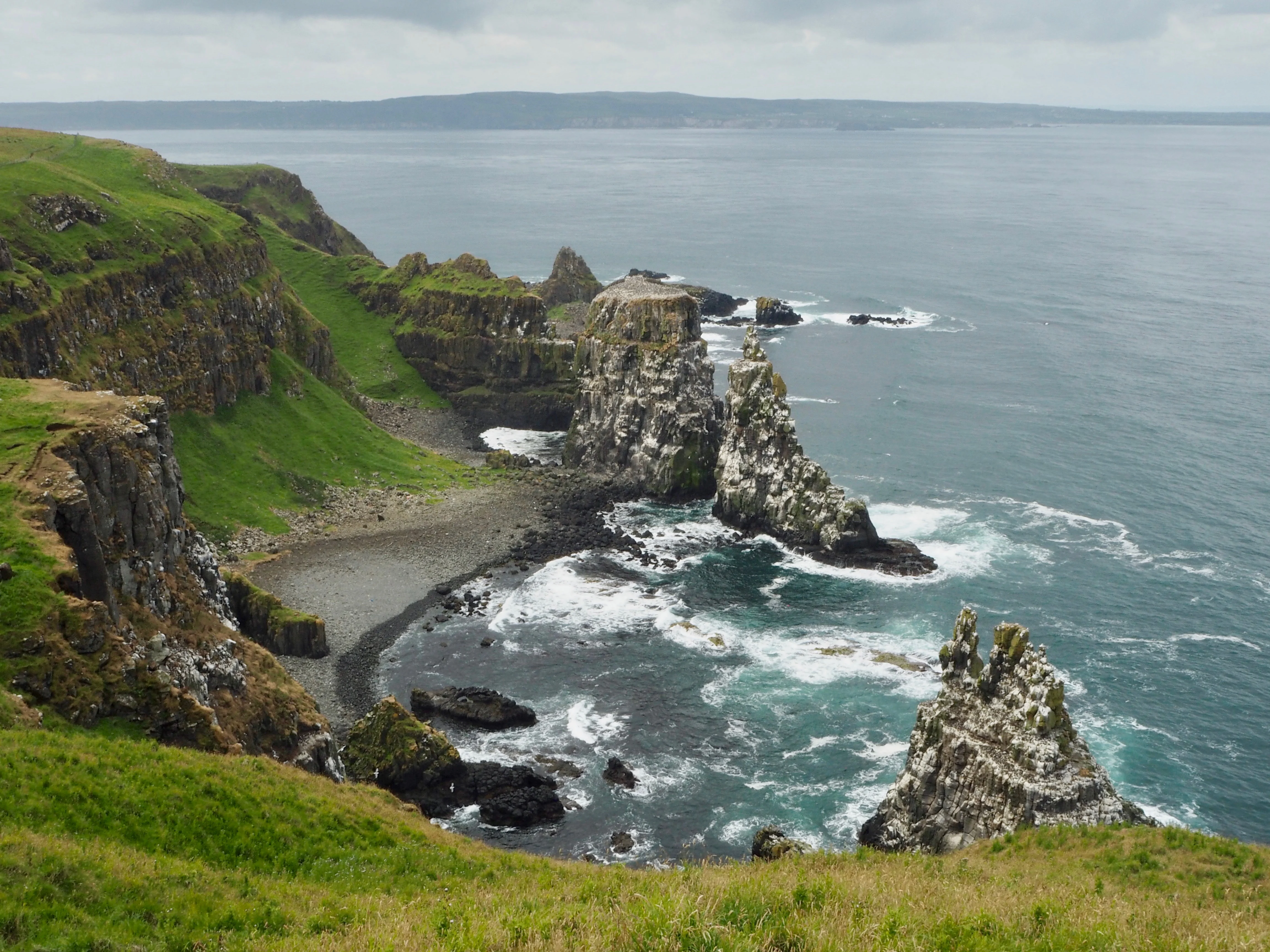 Seabird colonies Rathlin Island - Beyond the City Break in Belfast with Flybe and Avis