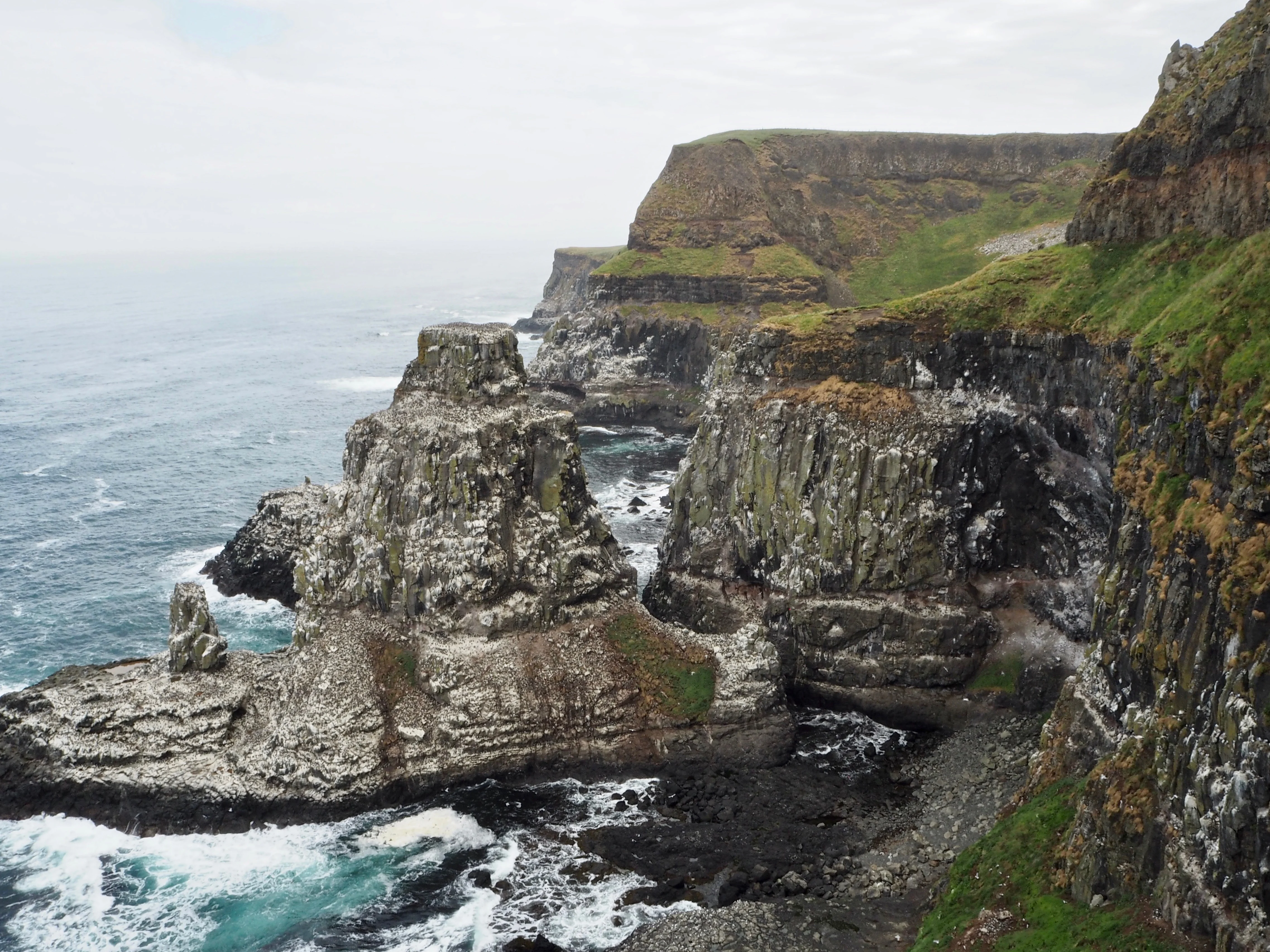 Seabird colonies Rathlin Island - Beyond the City Break in Belfast with Flybe and Avis