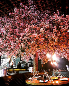The best places to eat and drink in Manchester Tattu - Best places to eat and drink in Manchester